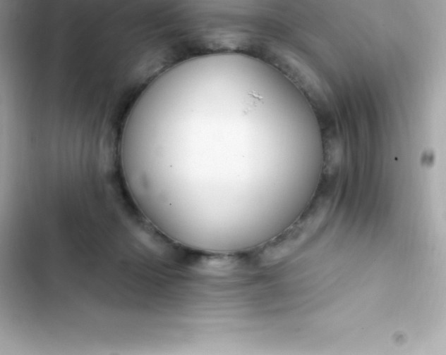 X0000103320414200809192145