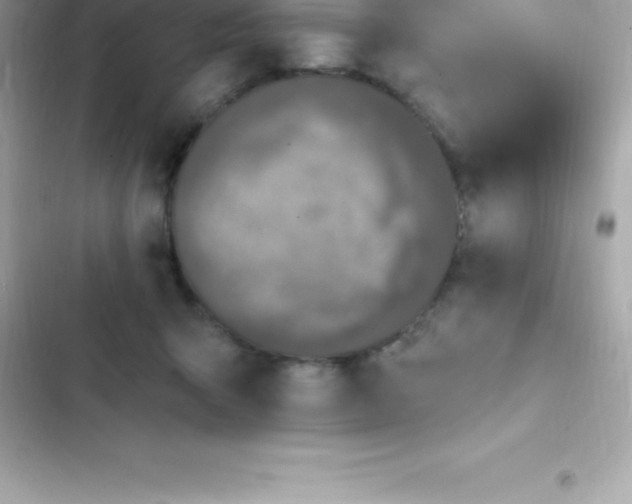 X0000103320415200809192145