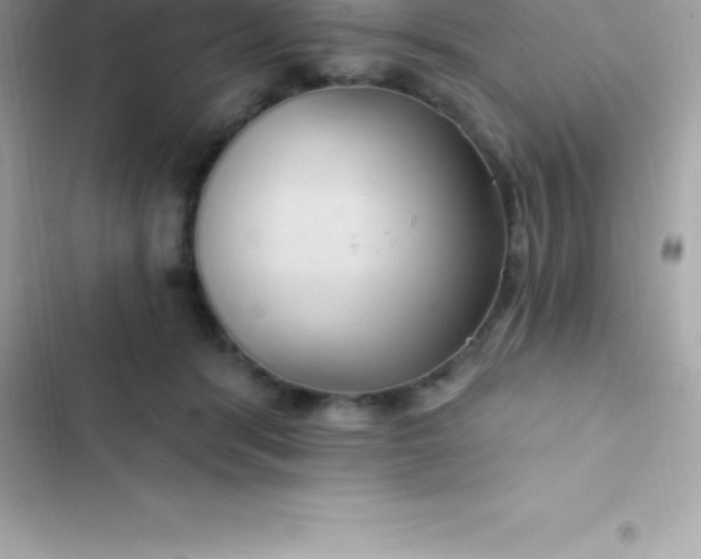 X0000103320416200809192145