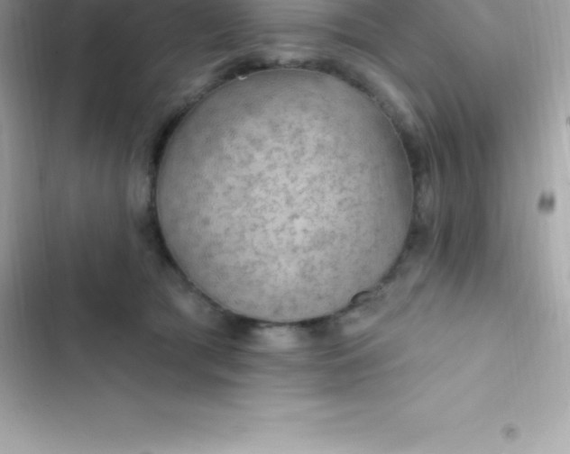 X0000103320417200809192145