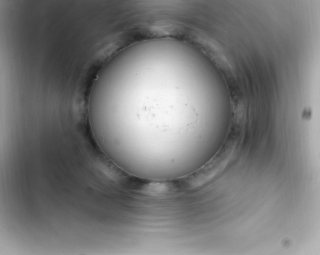 X0000103320418200809192145