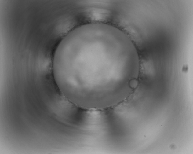 X0000103320419200809192145