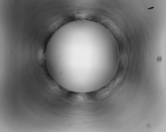 X0000103320420200809192145