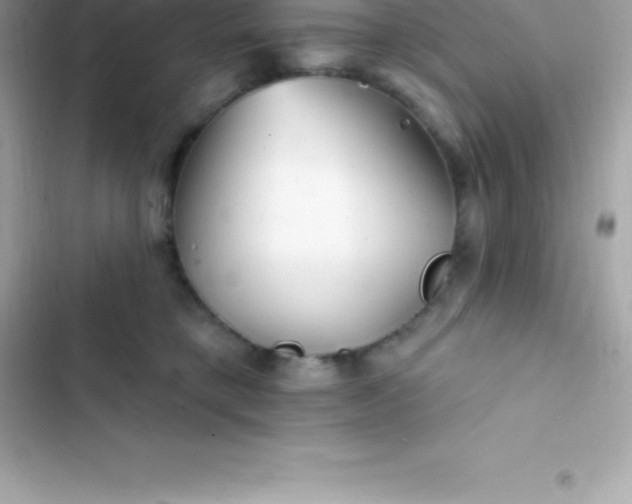 X0000103320421200809192145