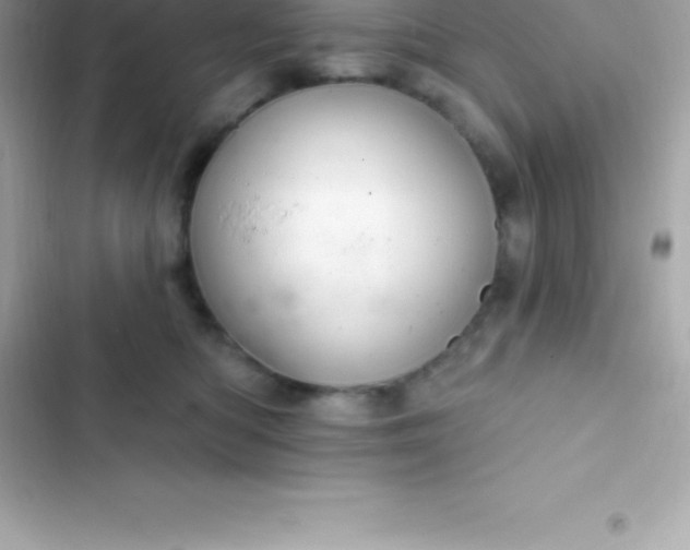 X0000103320422200809192145