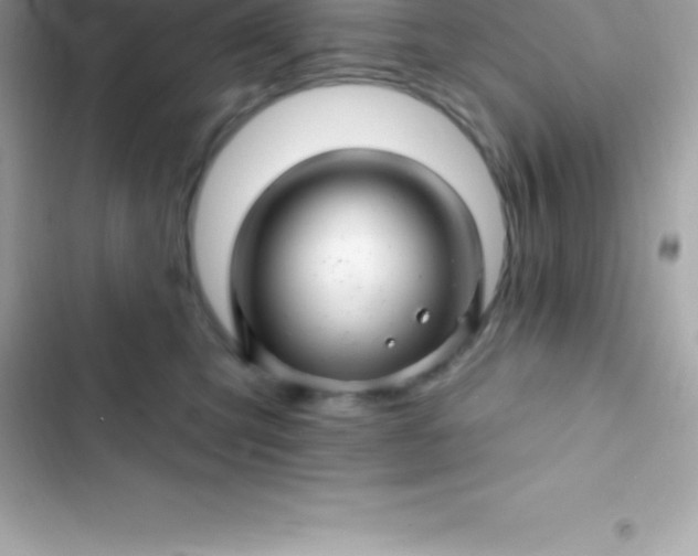 X0000103320423200809192145