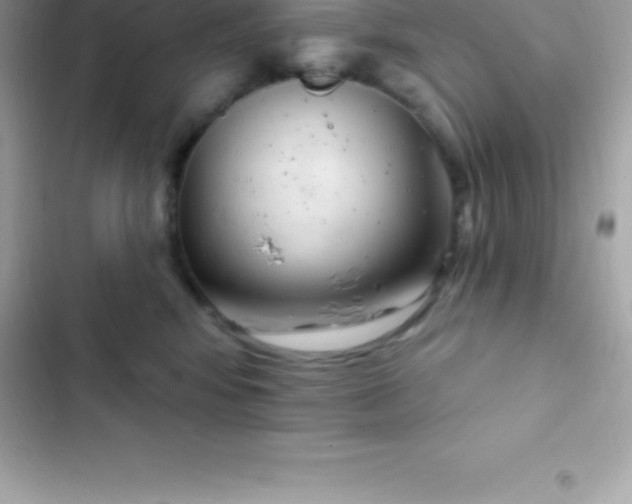 X0000103320424200809192145