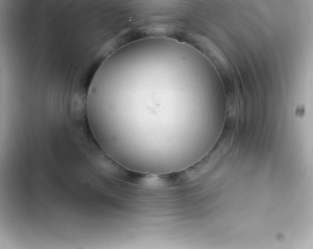 X0000103320425200809192145