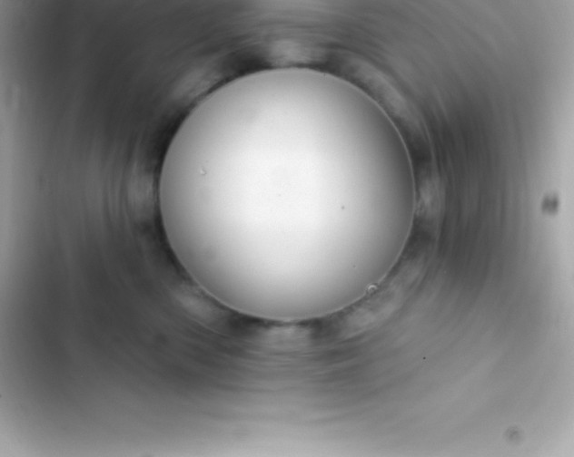 X0000103320426200809192145