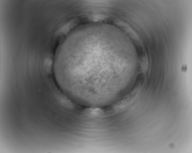 X0000103320427200809192145