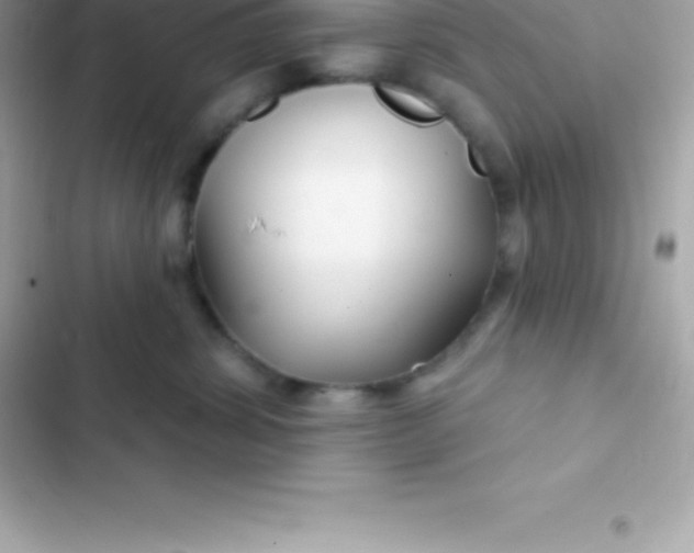 X0000103320428200809192144