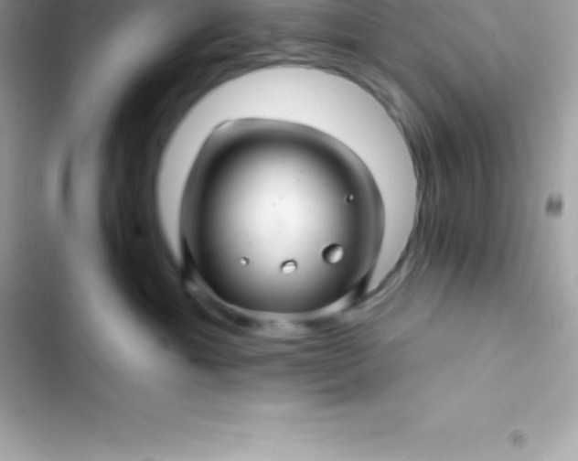 X0000103320429200809192144