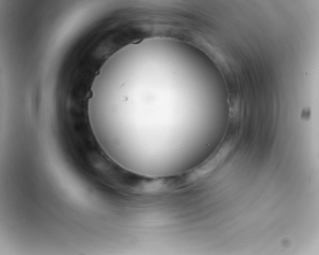 X0000103320430200809192144