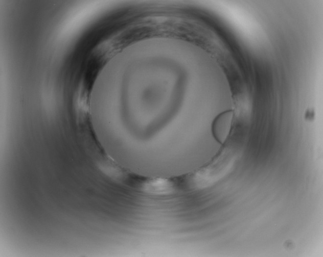 X0000103320431200809192144