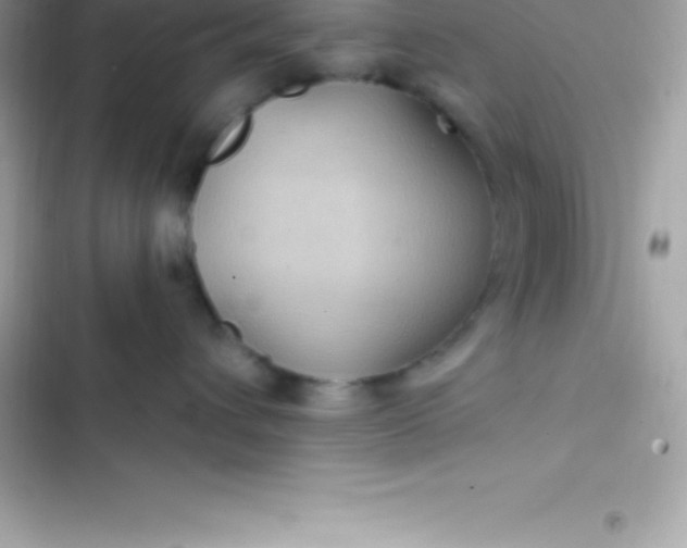 X0000103320432200809192144