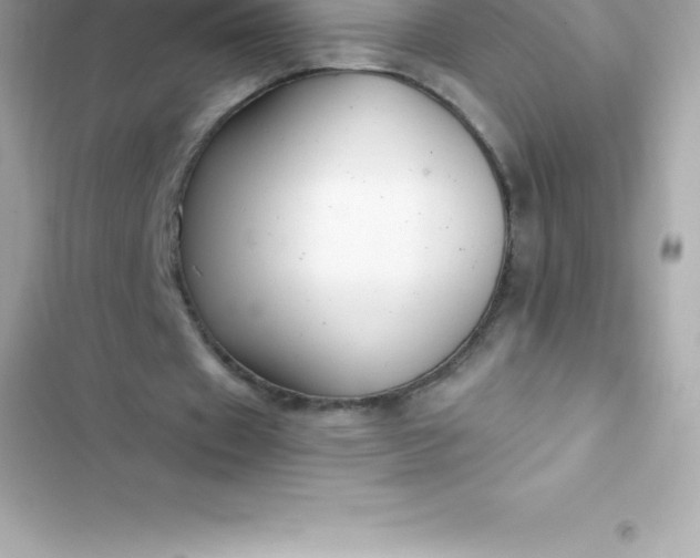 X0000103320433200809192144