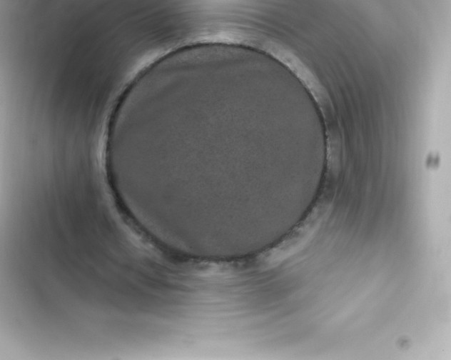 X0000103320434200809192144