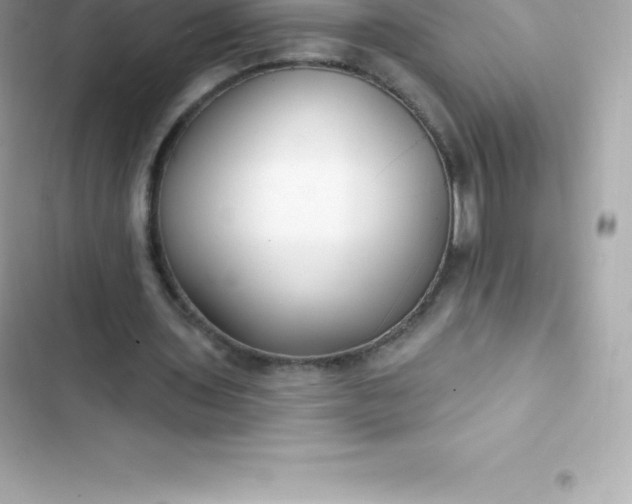 X0000103320435200809192144