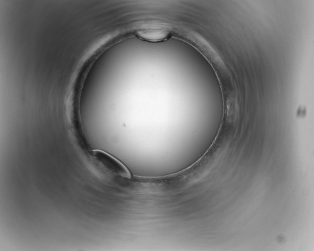 X0000103320436200809192144