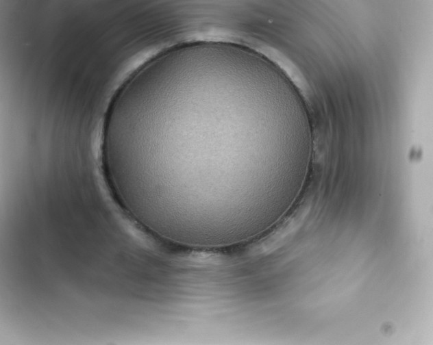 X0000103320437200809192144