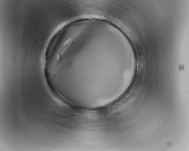 X0000103320438200809192144