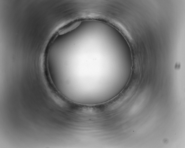 X0000103320439200809192144