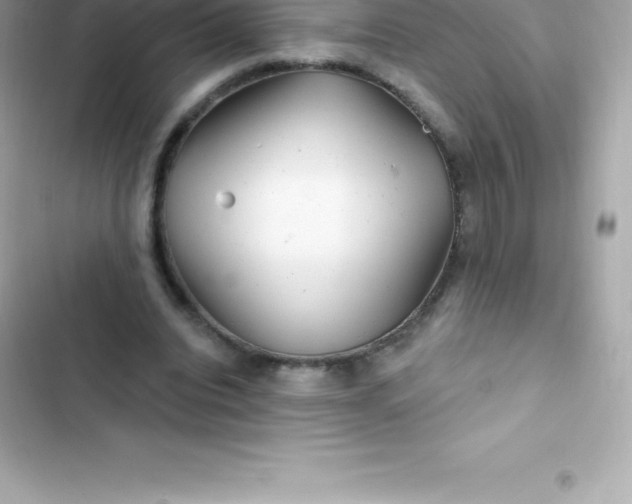 X0000103320440200809192144