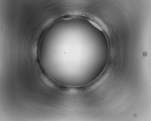 X0000103320441200809192144