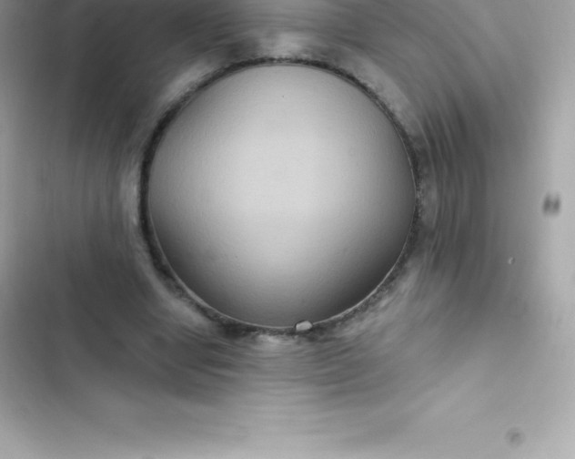 X0000103320442200809192144