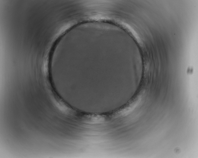 X0000103320443200809192144