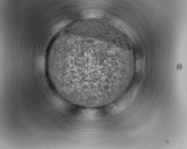 X0000103320444200809192144