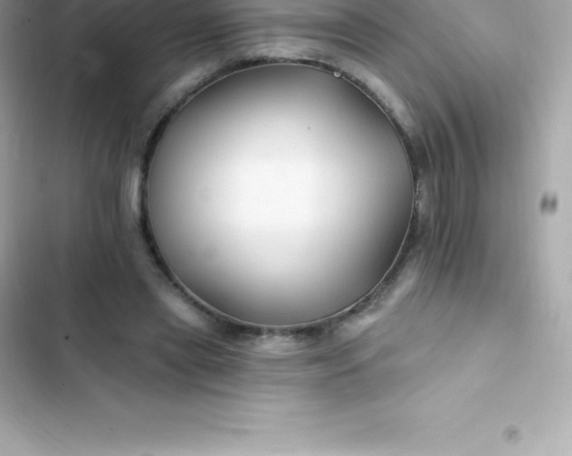 X0000103320445200809192144