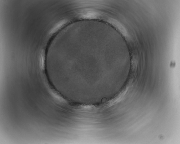 X0000103320446200809192144