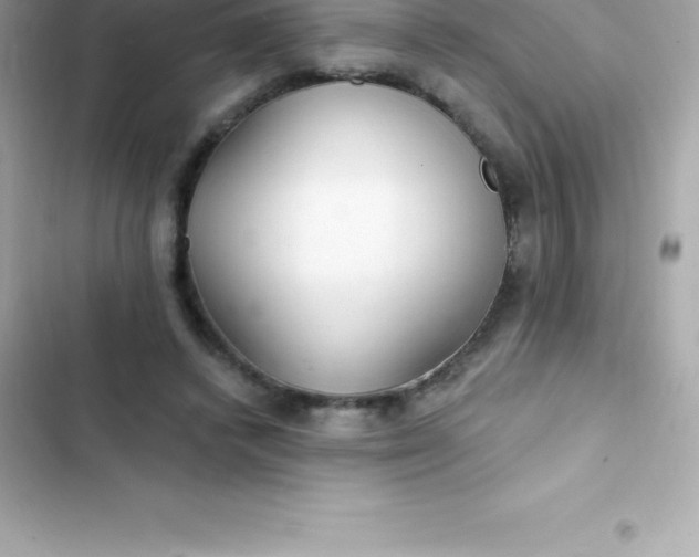 X0000103320448200809192144