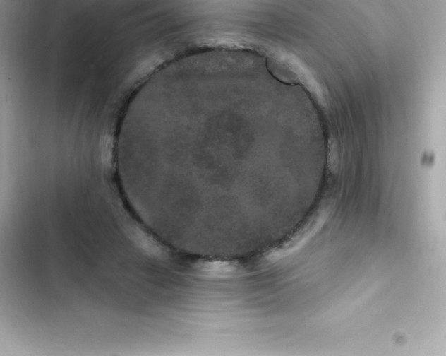 X0000103320449200809192144