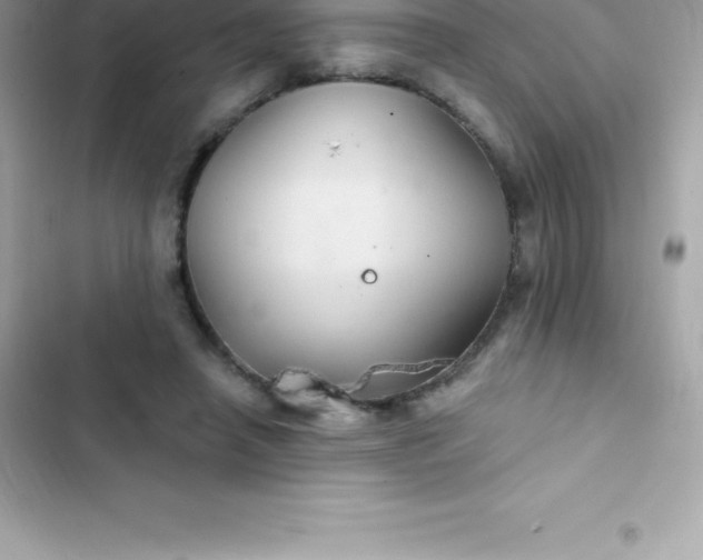 X0000103320450200809192144