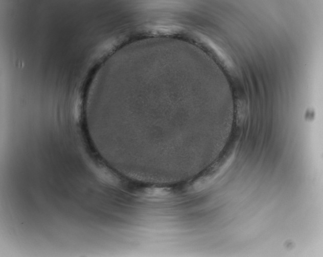 X0000103320451200809192144