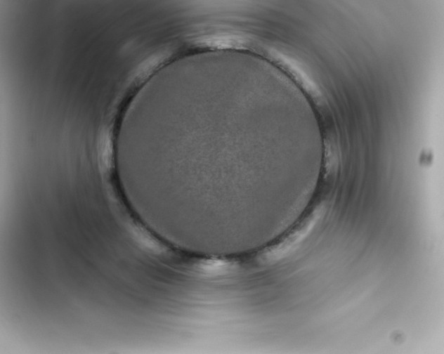 X0000103320453200809192144