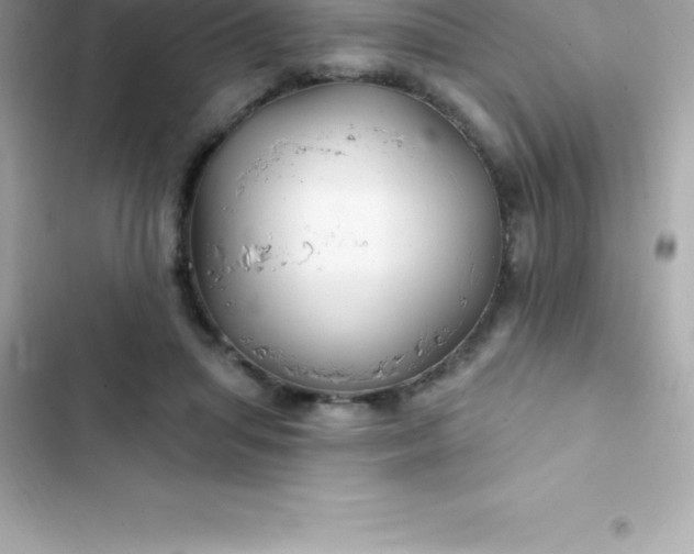 X0000103320455200809192144