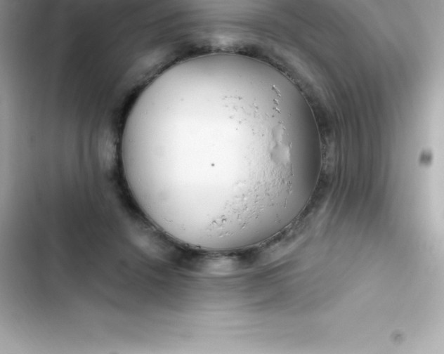 X0000103320456200809192144