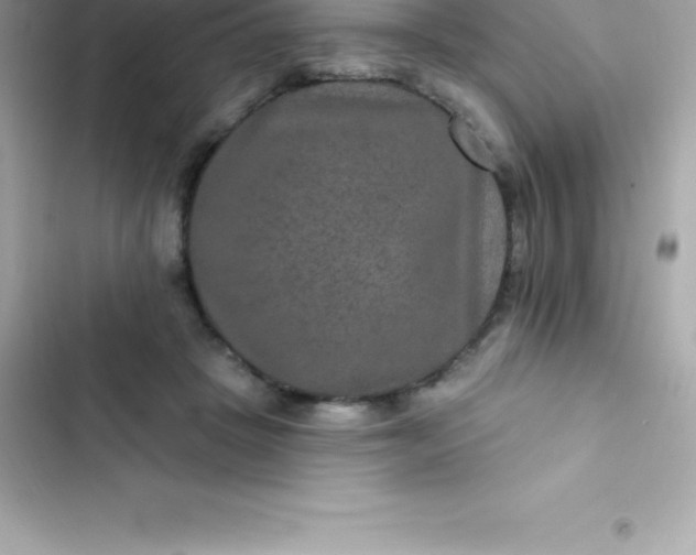 X0000103320457200809192144