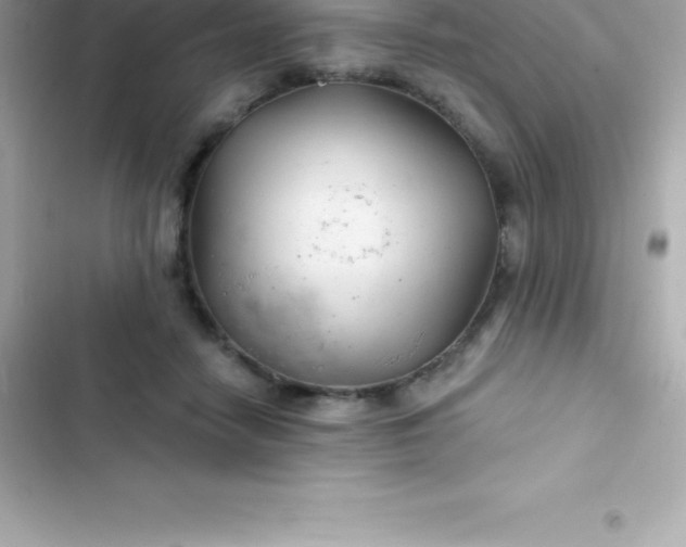 X0000103320458200809192144