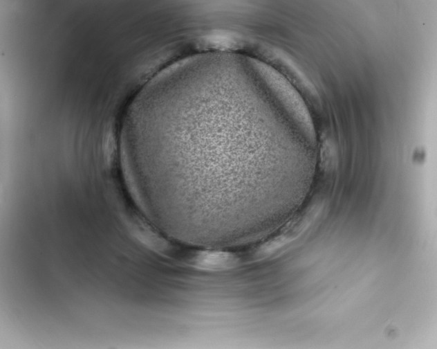 X0000103320459200809192144