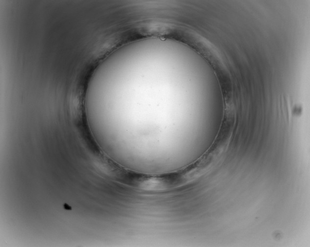 X0000103320460200809192144