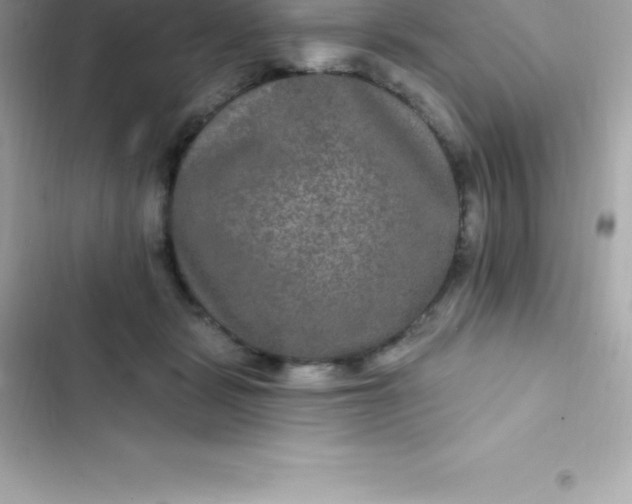 X0000103320461200809192144