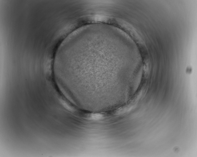 X0000103320462200809192144