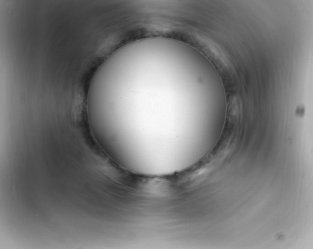 X0000103320463200809192144