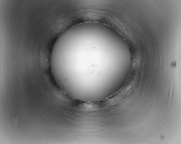 X0000103320464200809192144