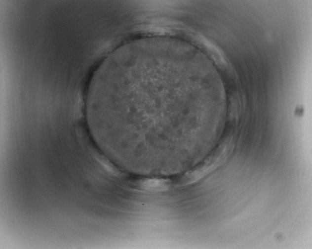 X0000103320465200809192144