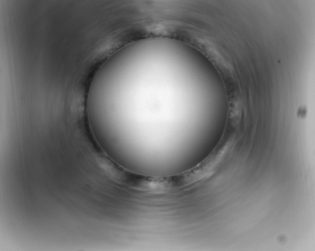 X0000103320466200809192144